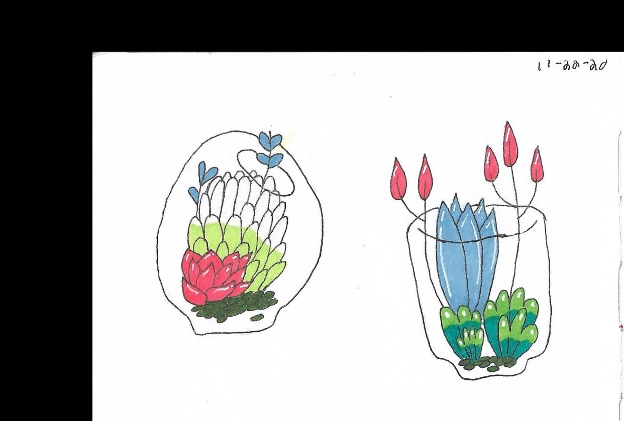 How To Draw Cute Succulent Plants in Terrarium - student project