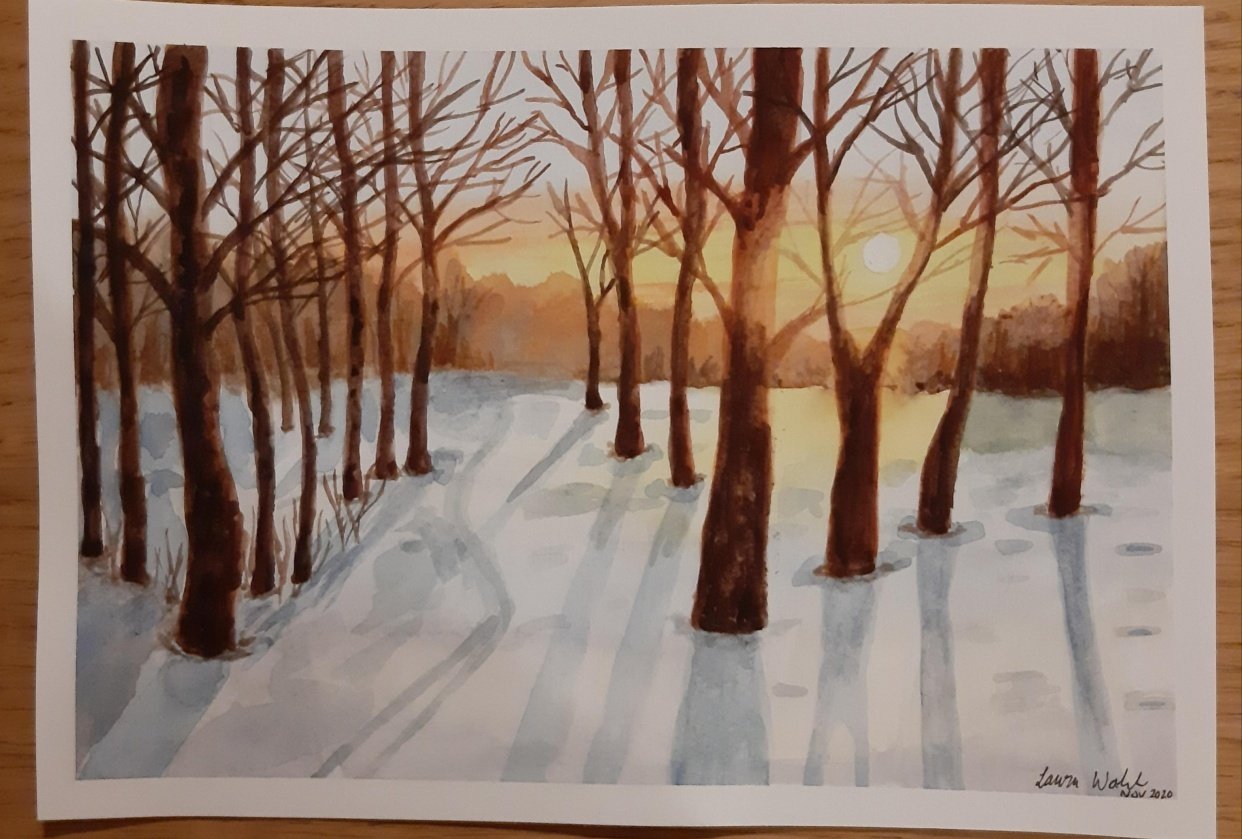 Winter forest sunrise - student project