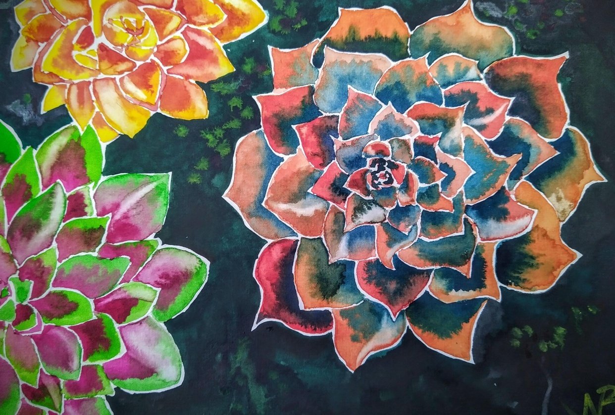 Strange Succulents - student project