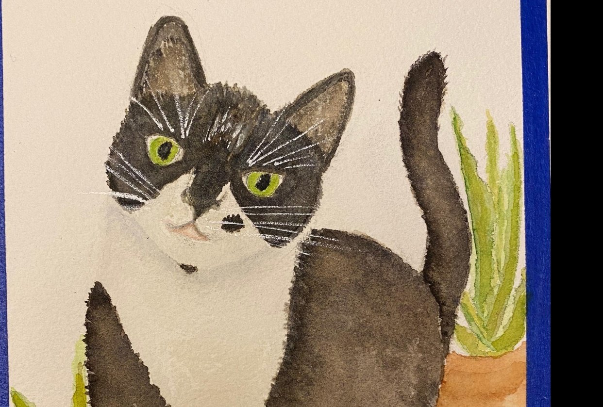 Ella - student project