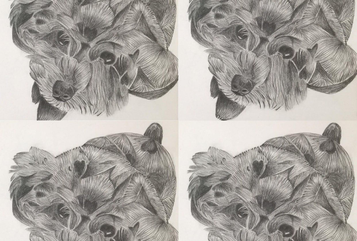 28 day drawing challenge - student project