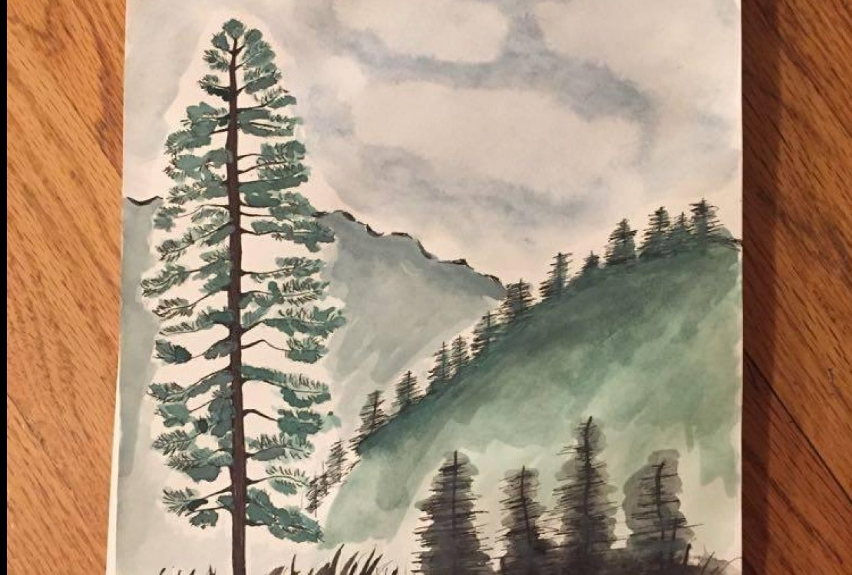 Tree Landscape - student project