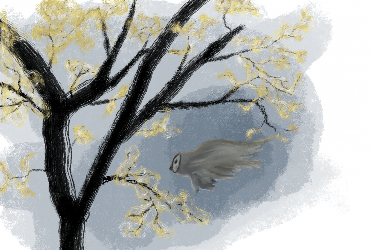 14 Day Challenge - student project
