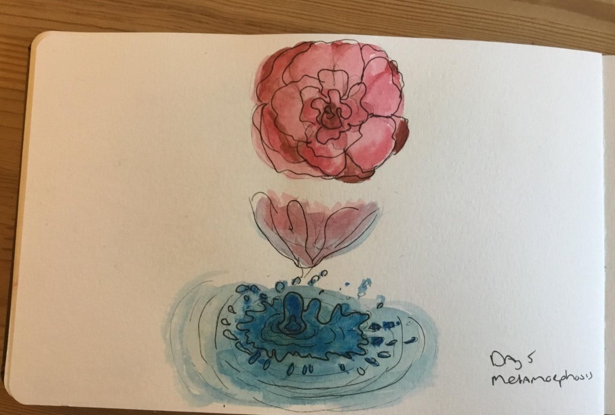 14 day draw challenge - student project