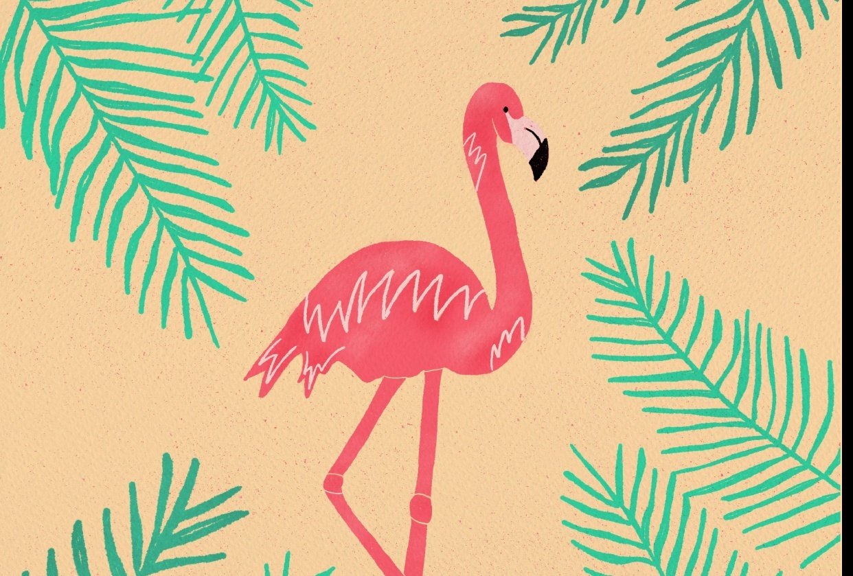 Flamingo in the Tropics - student project