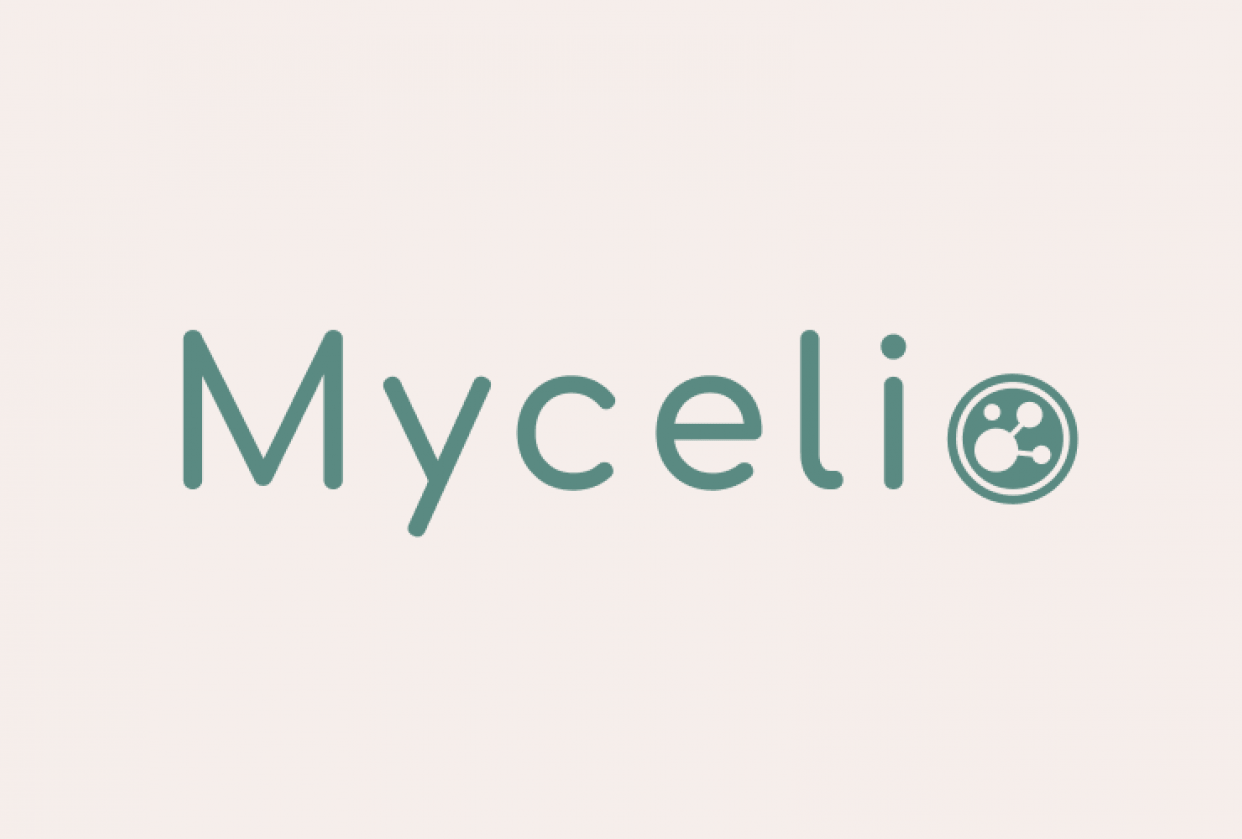 Mycelio brand board - student project