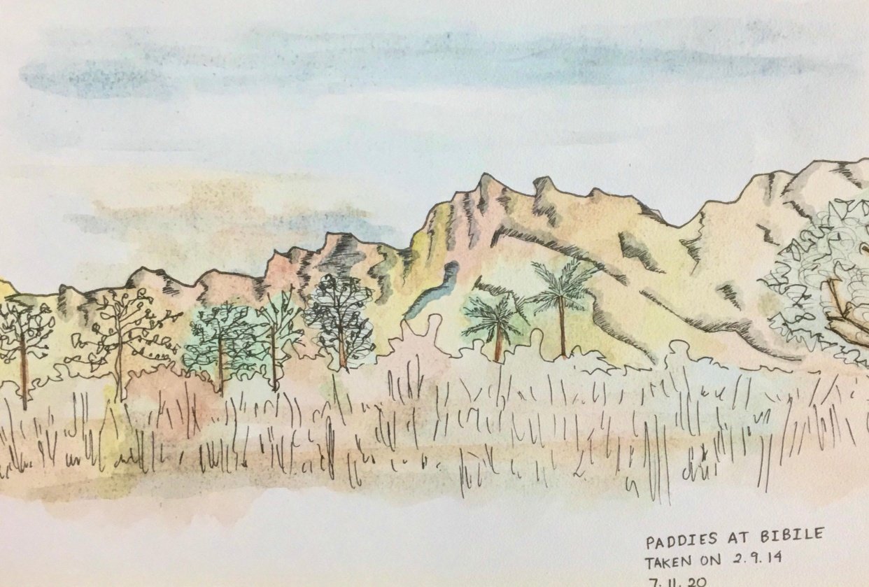 Paddies and Mountains - student project