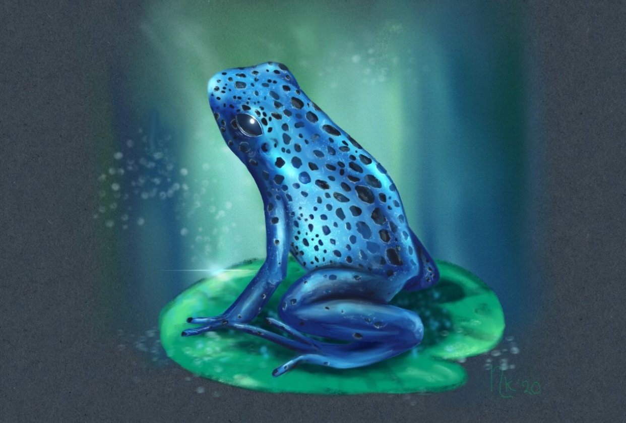 MyBlueFrog - student project