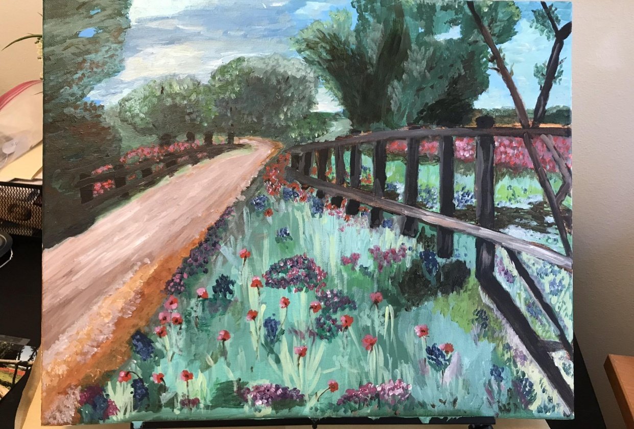 Texas wildflowers - student project