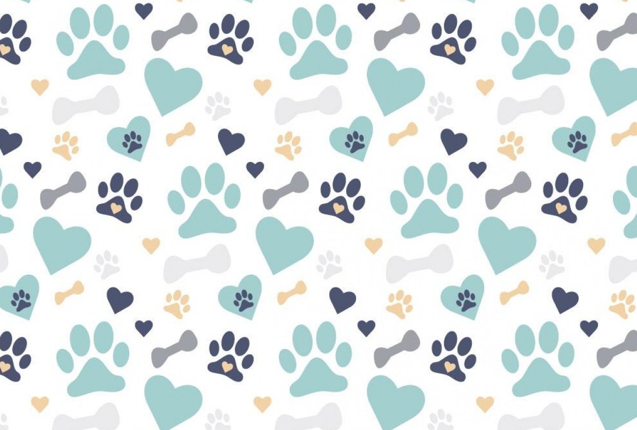 Dog Pattern - student project
