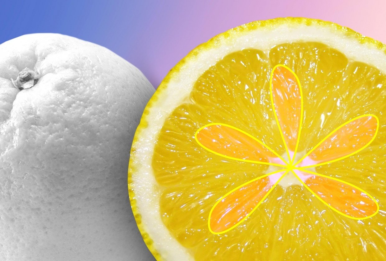 Lemon-Orange - student project