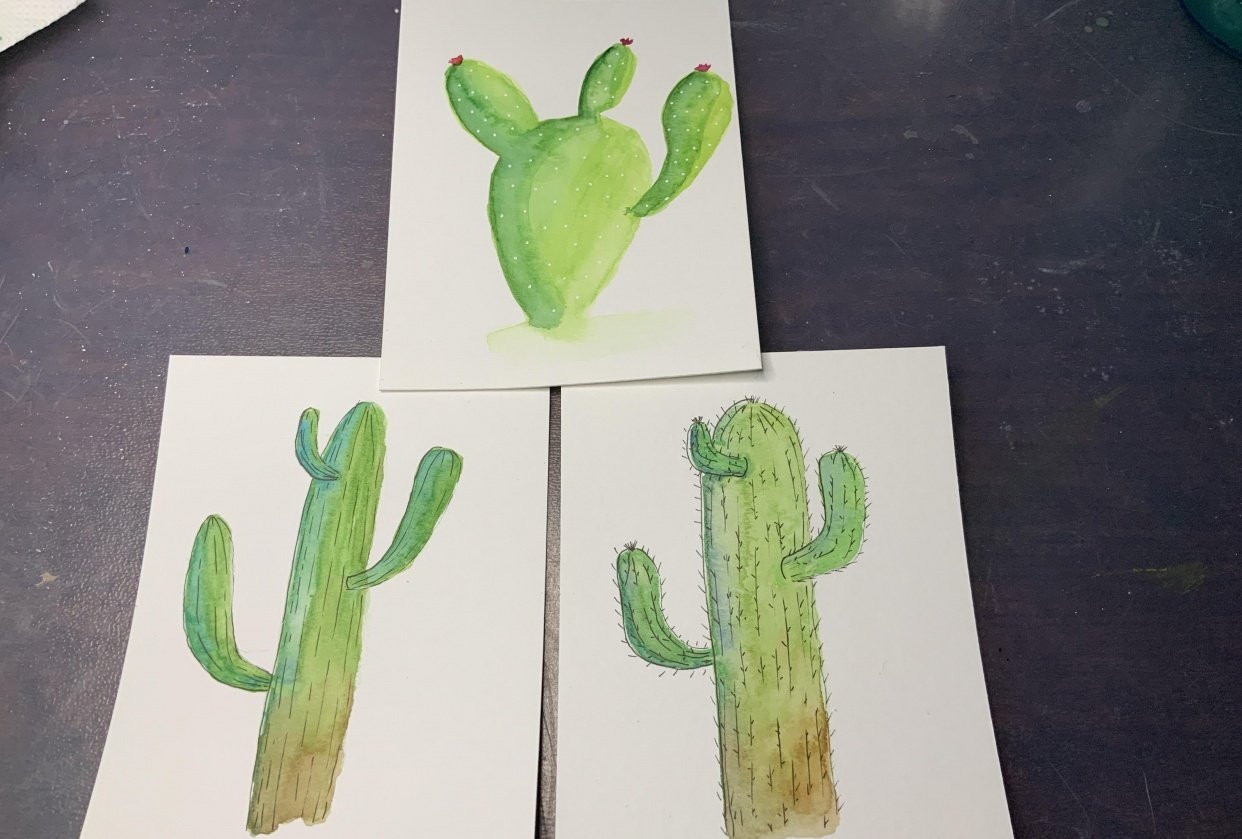 Cacti - student project