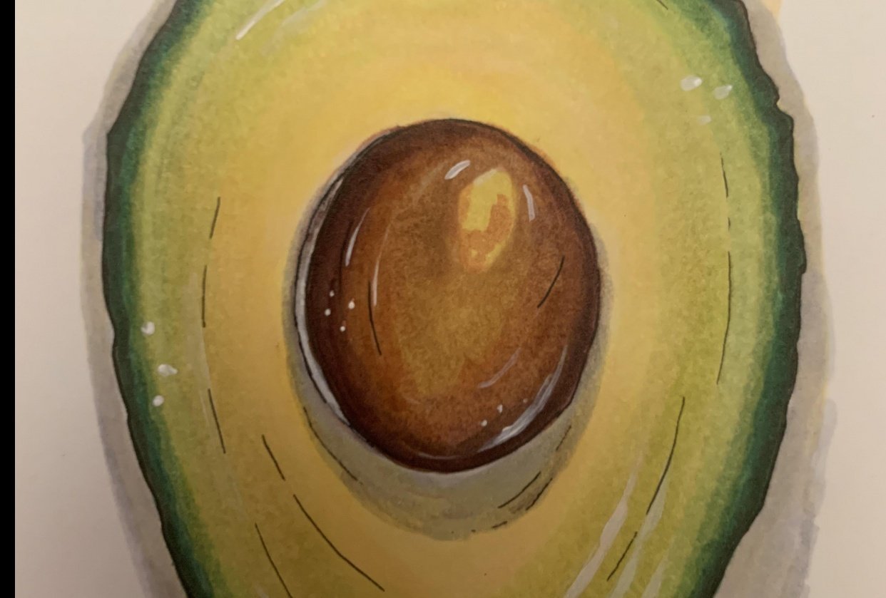 Avocado | Skillshare Student Project