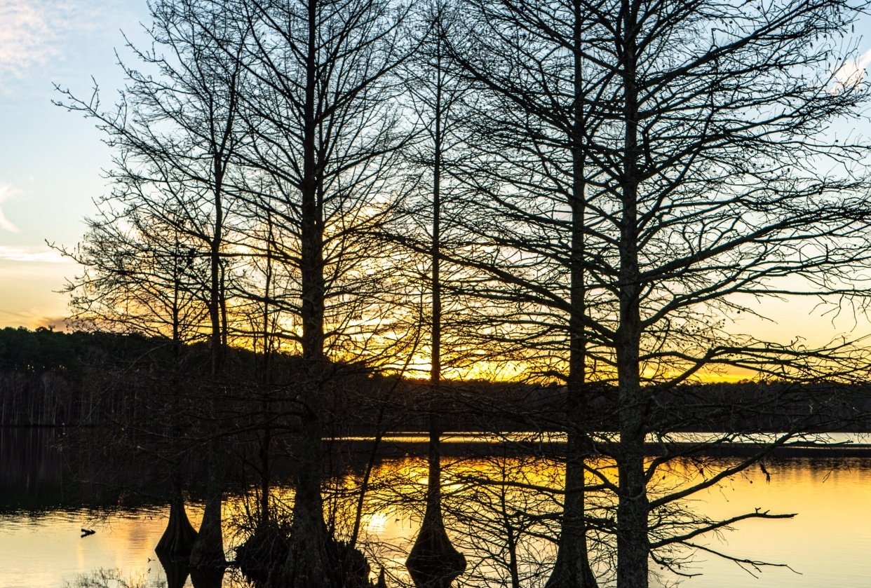 Stumpy lake sunset Skillshare Student Project