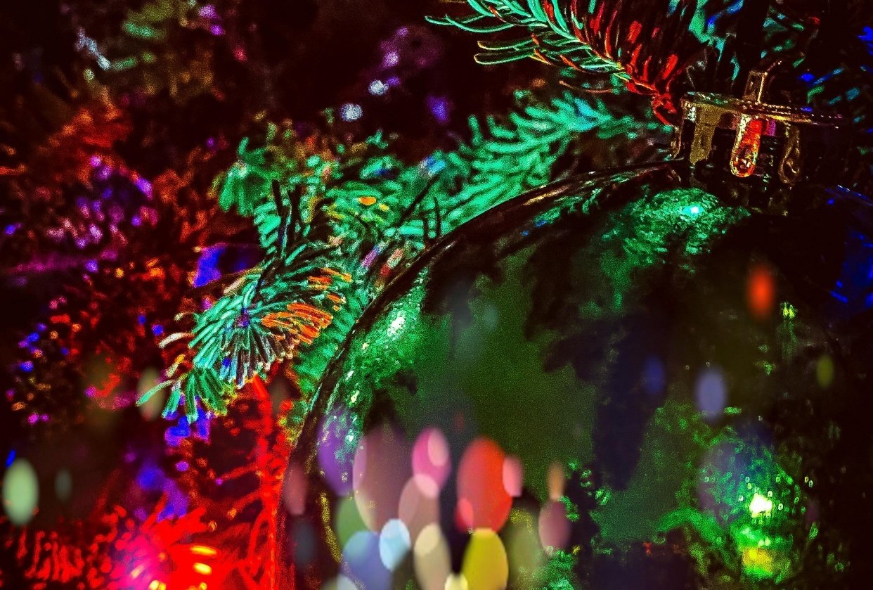 Christmas in Queens Skillshare Student Project