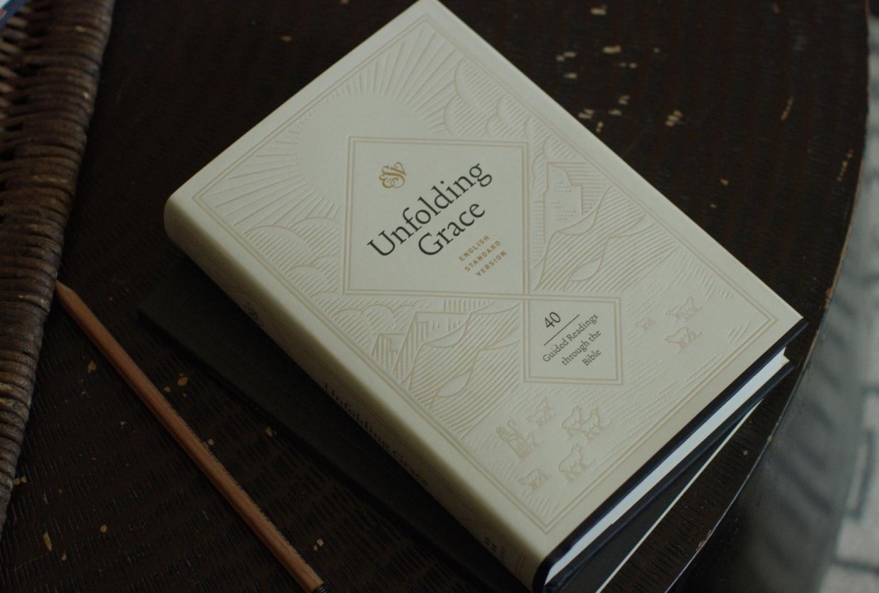 Book Cover - student project