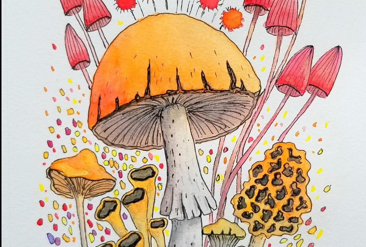 Mushrooms Skillshare Student Project