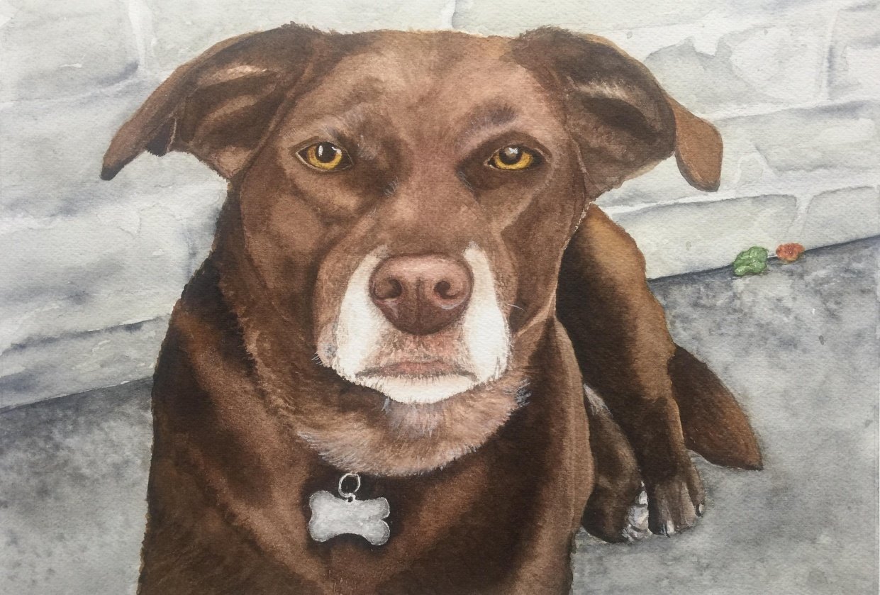 Chocolate Lab Skillshare Student Project