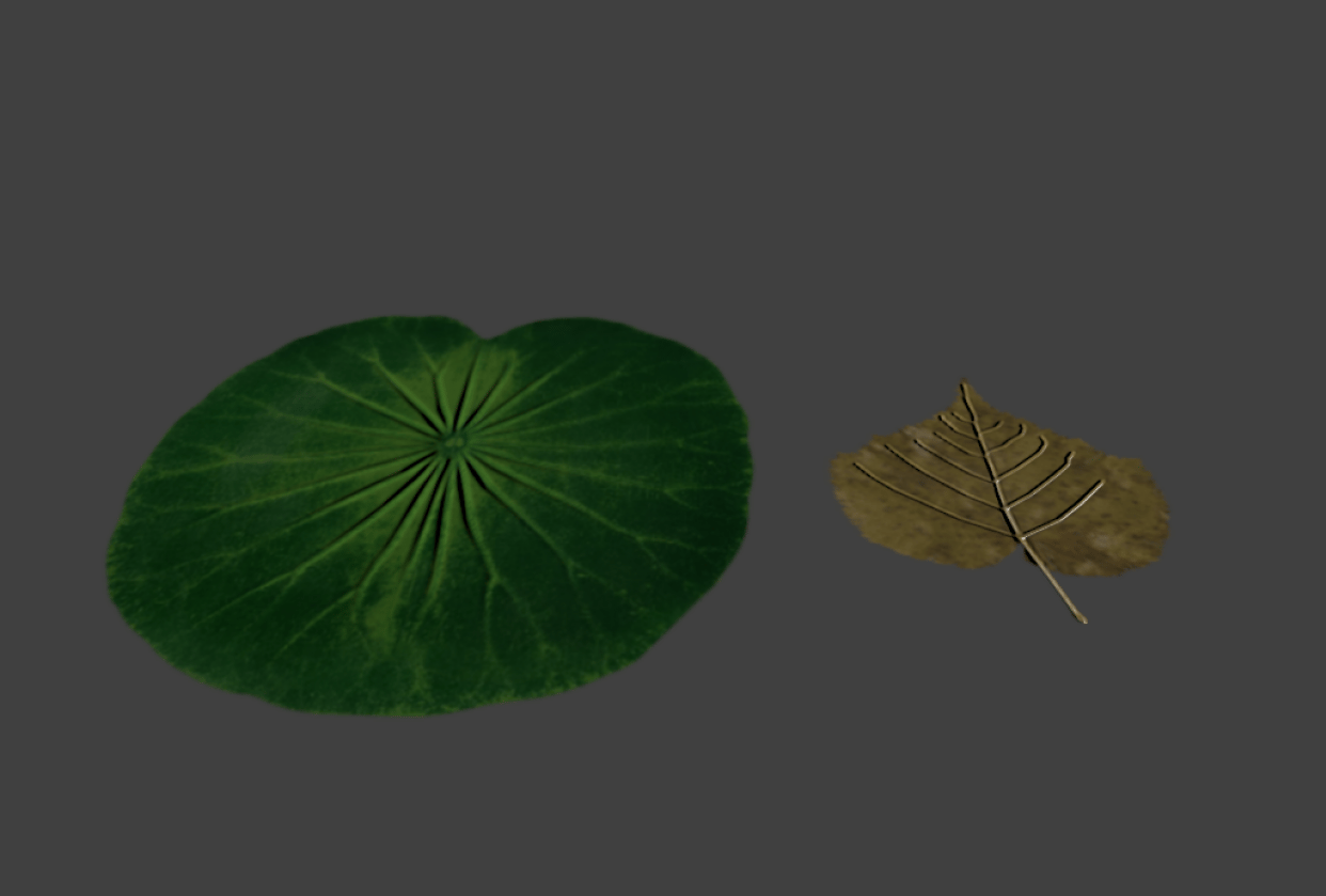 Textured leaves - student project