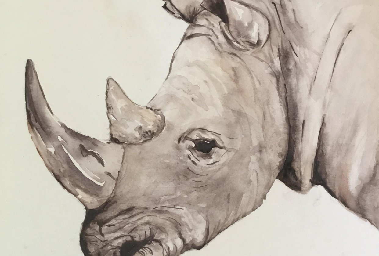 Water control Rhino Skillshare Student Project