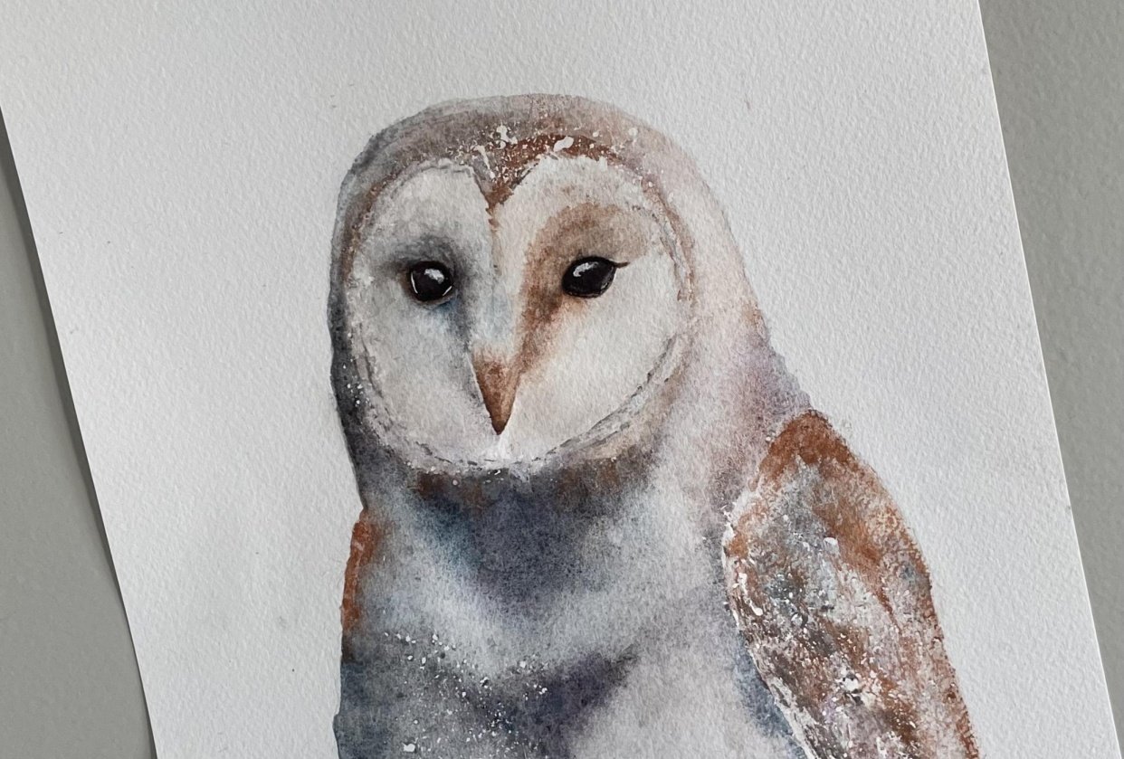 Barn Owl Skillshare Student Project