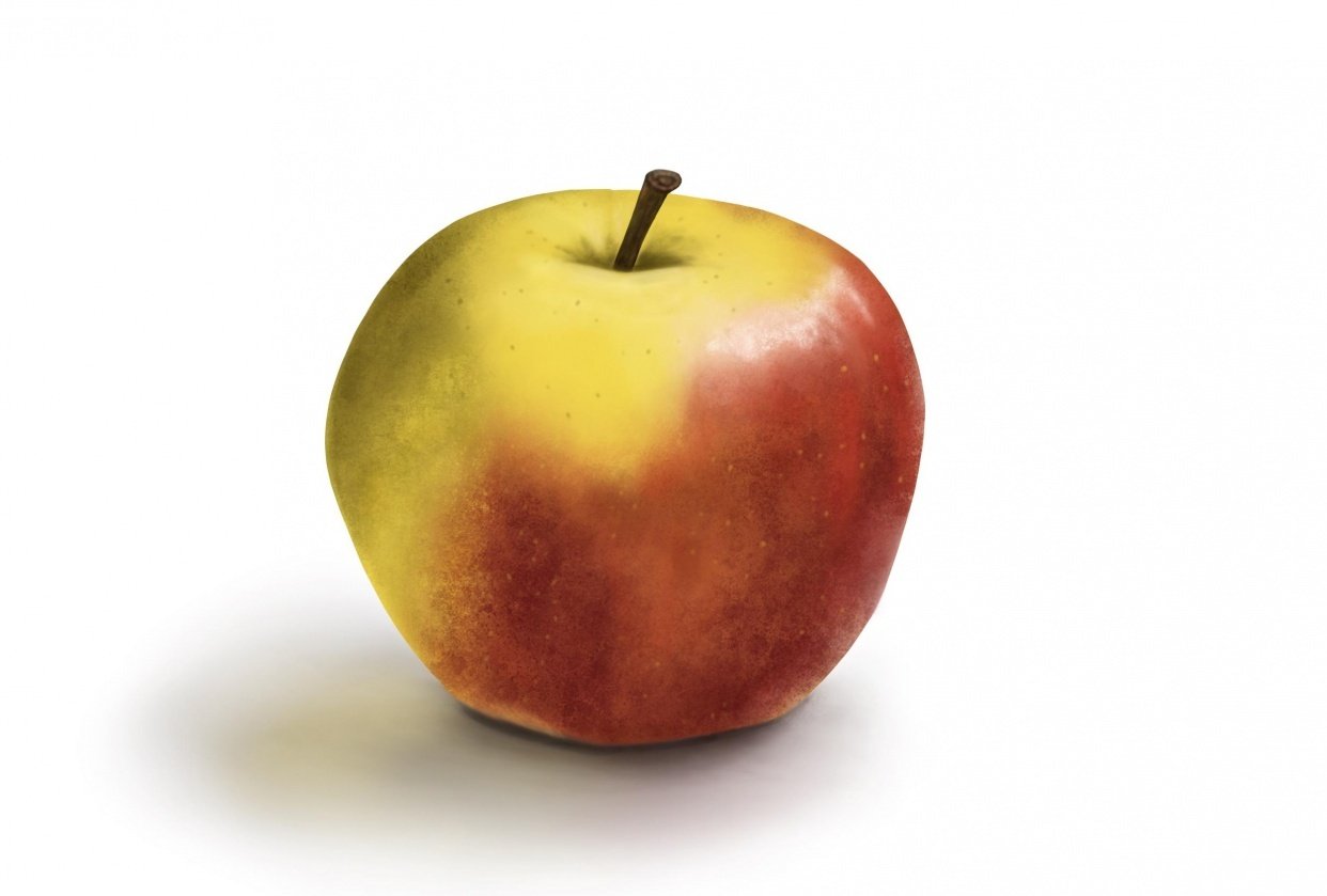 Apple painting Skillshare Student Project