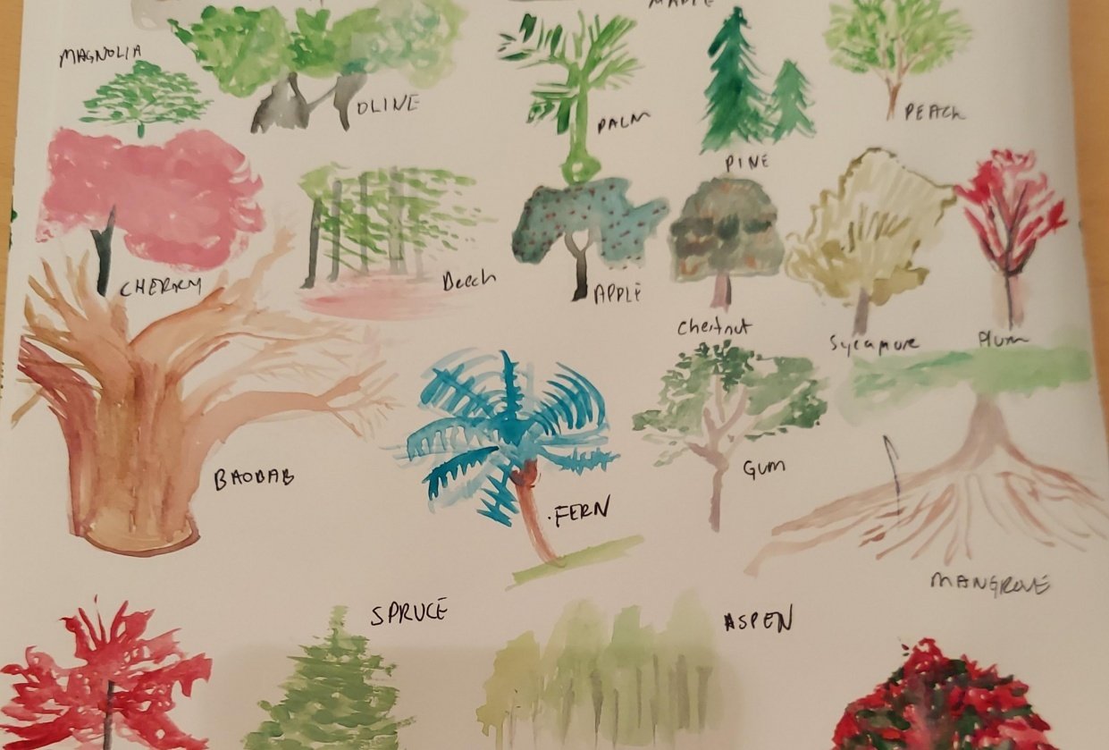 Practicing tree shapes Skillshare Student Project