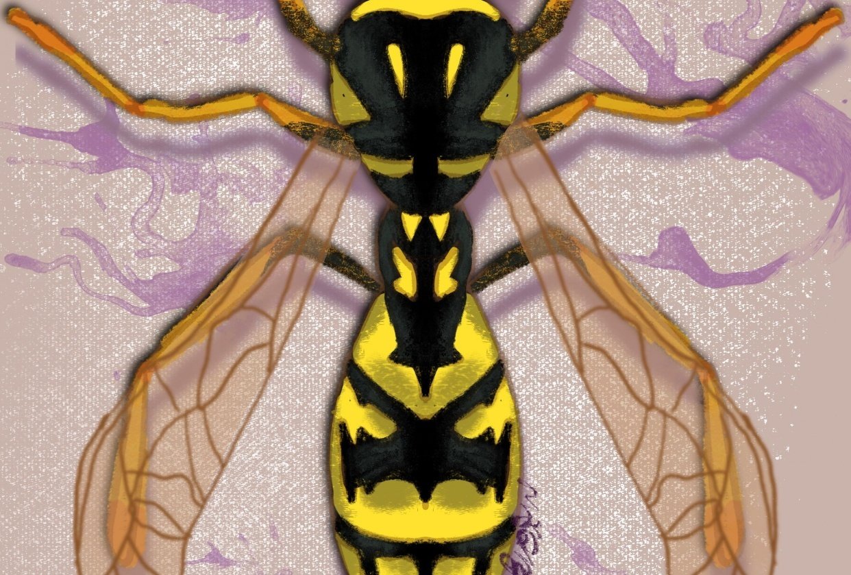 Procreate symmetry and flat design skillshare student project