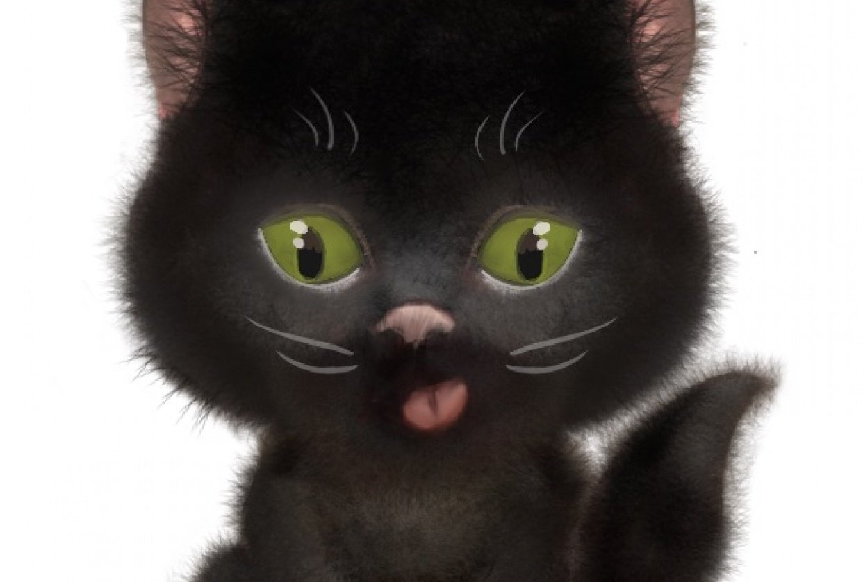 Kitty digital illustration Skillshare Student Project