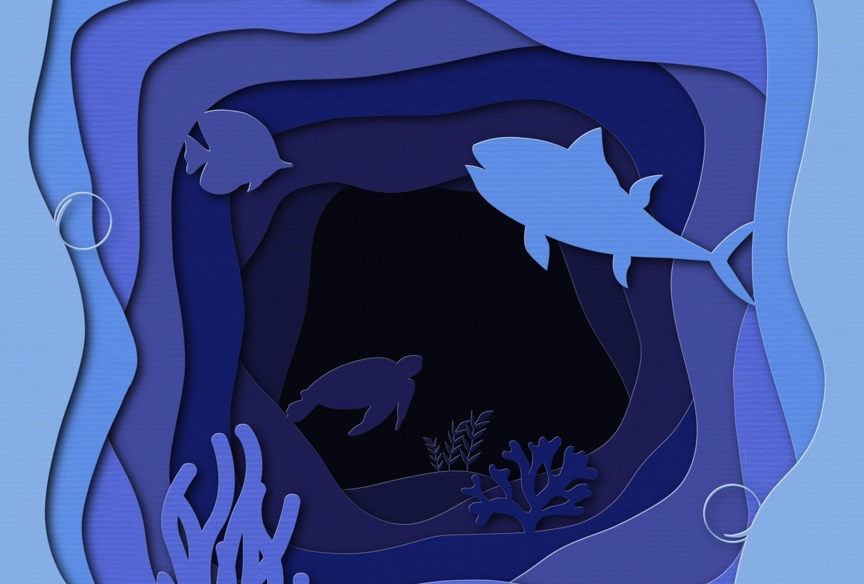 Ocean paper cut-out | Skillshare Student Project