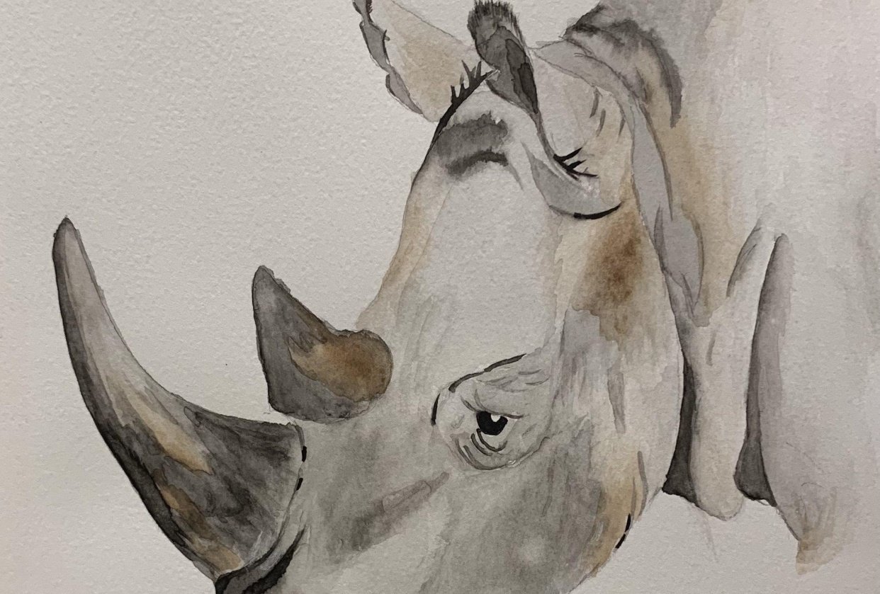 Rhino Skillshare Student Project