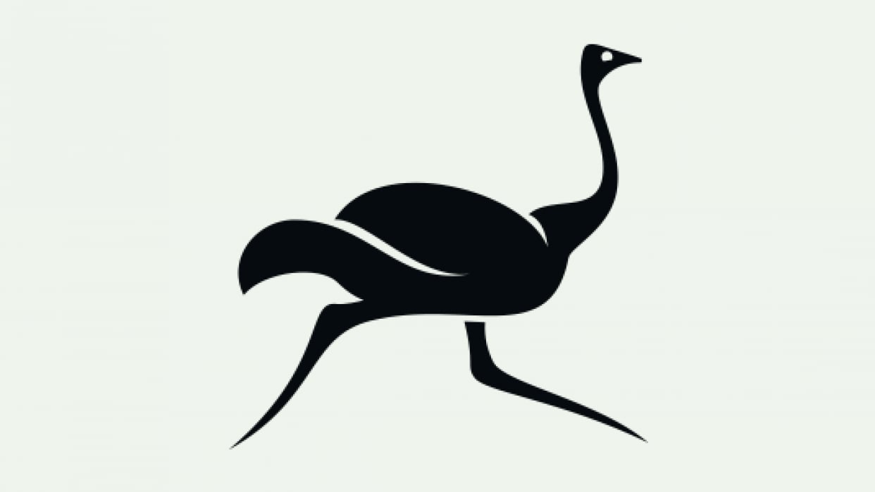 Ola Ostrich is Fast - student project