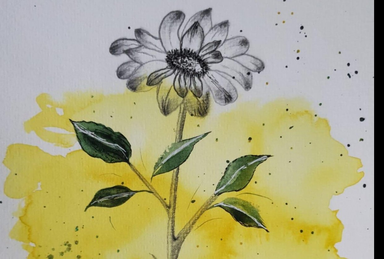 Watercolor & Graphite Skillshare Student Project