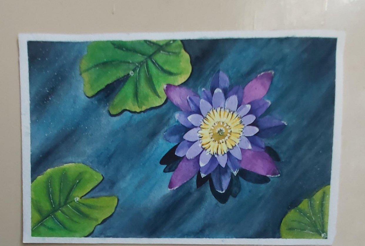 Pink & Purple Flowers - student project