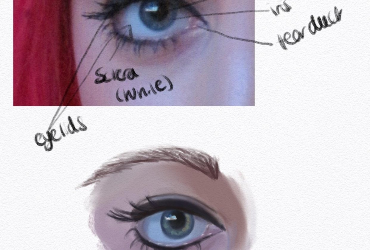 Drawing a Realistic Eye Class - student project