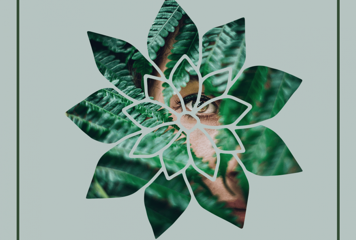 Social Media Visuals - student project
