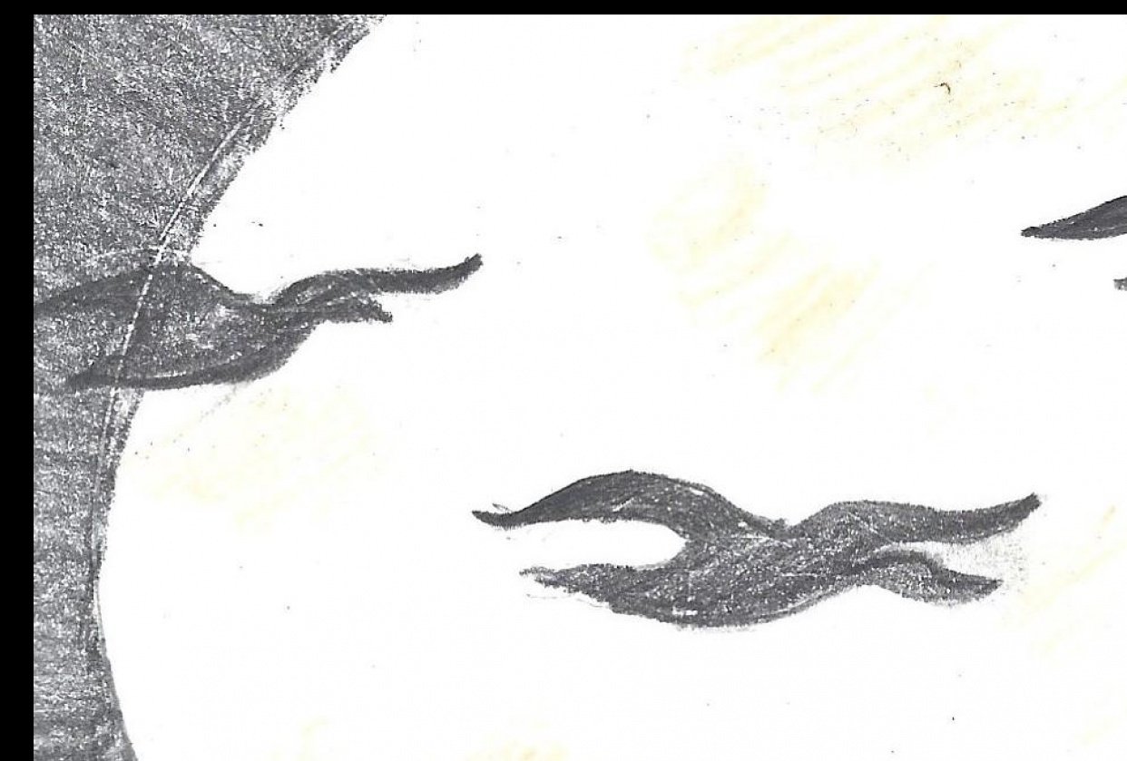 Illustrated Journaling - student project