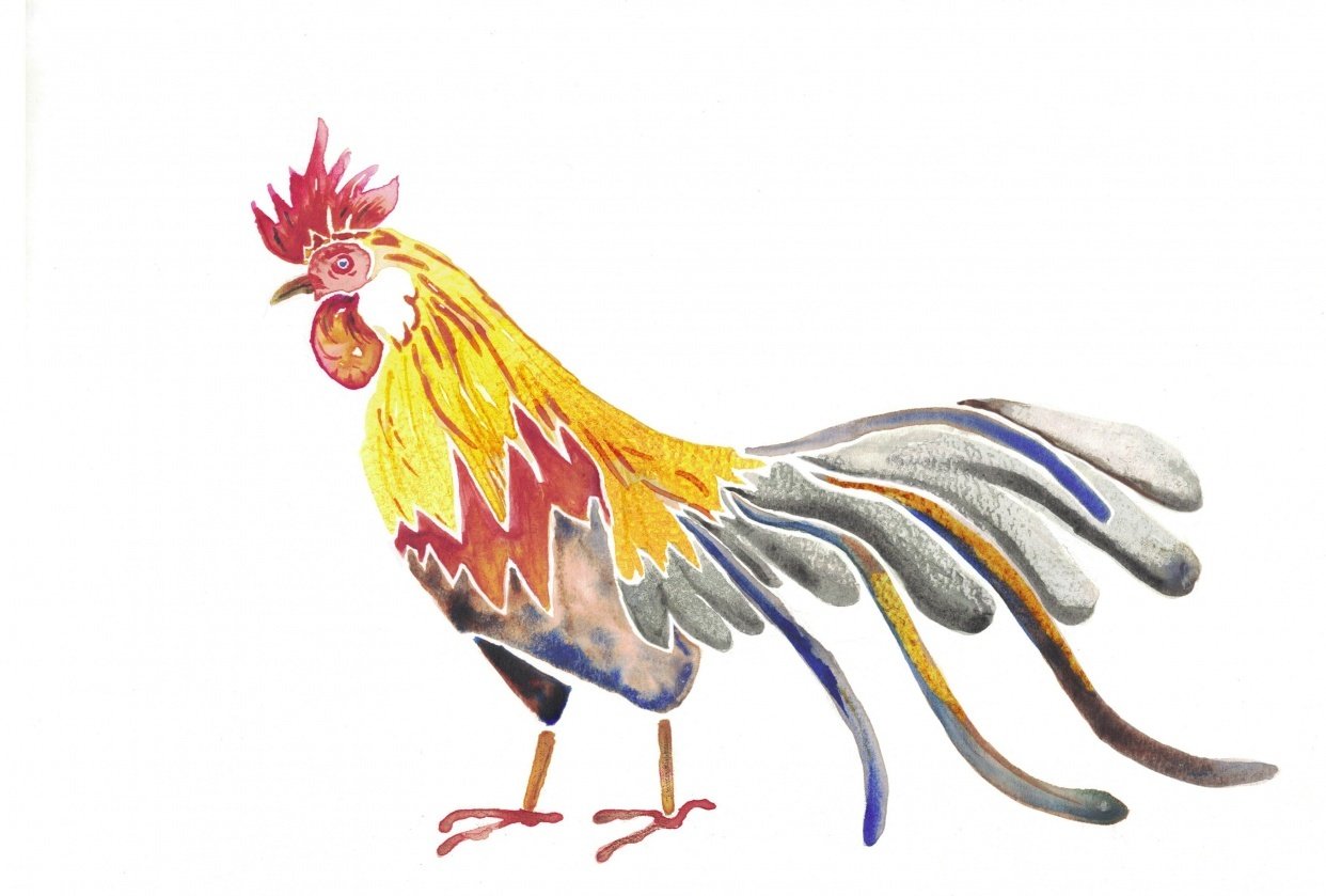Another rooster - student project