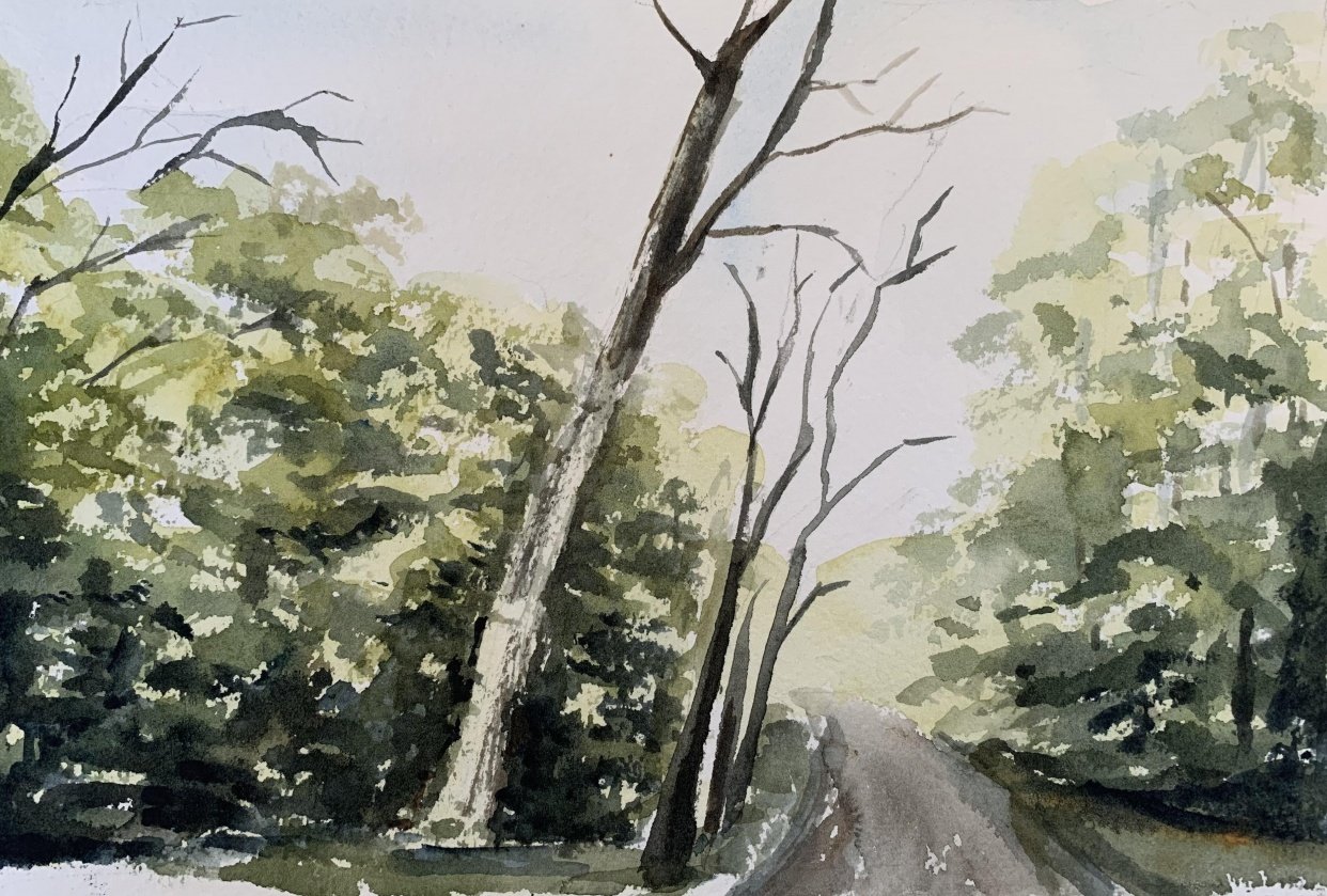 Watercolor landscape workshop - student project