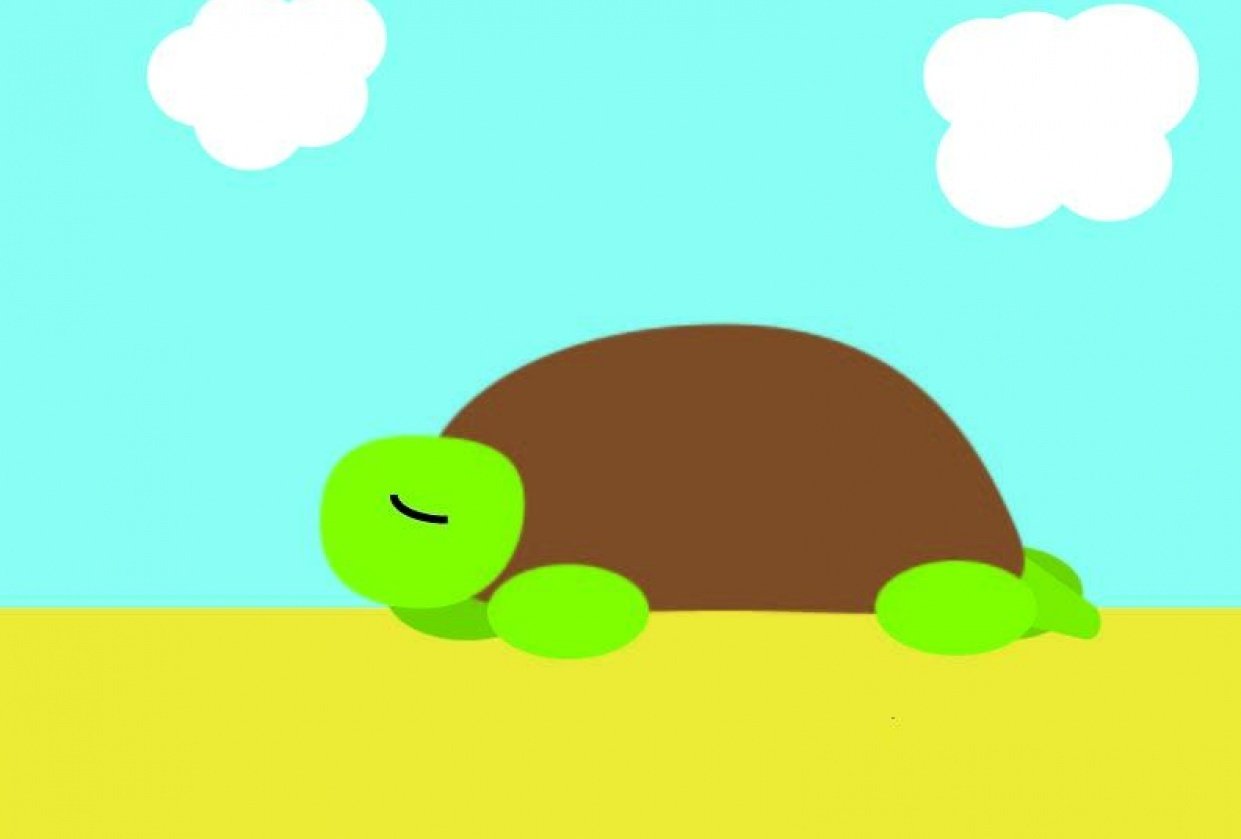 Turtle on the beach - student project