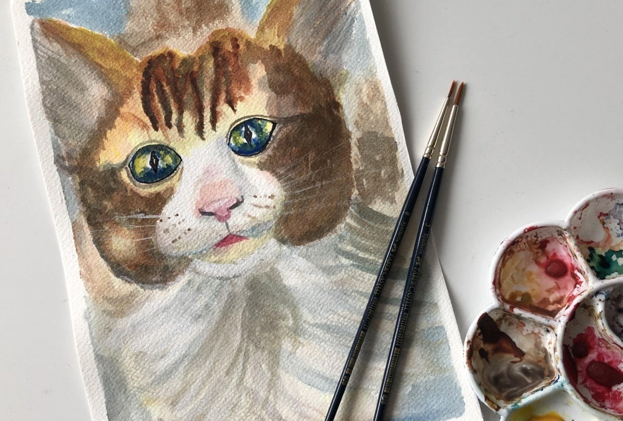 Kitty - student project