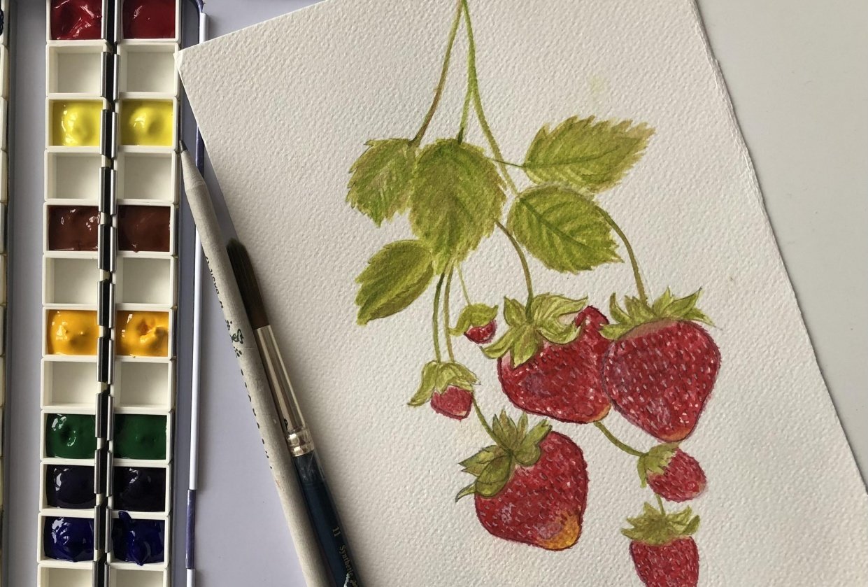 Strawberries - student project