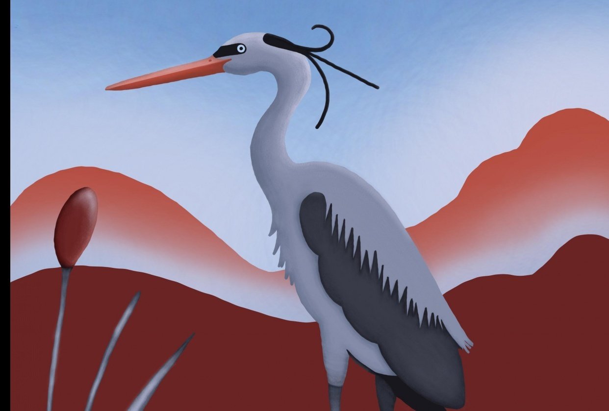 Heron Illustration - student project