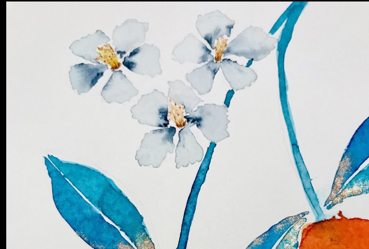 Citrus & Blossoms - student project