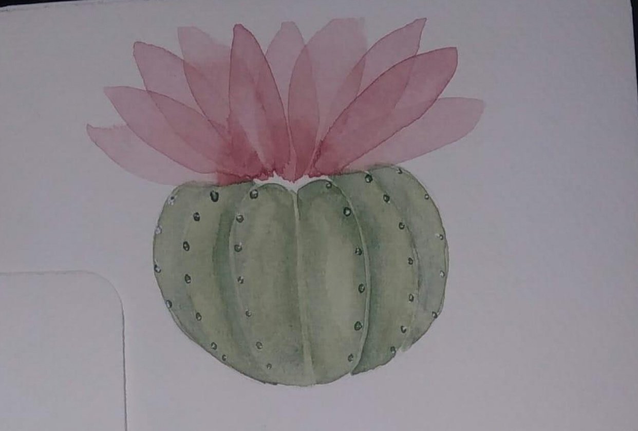 Cactus - student project