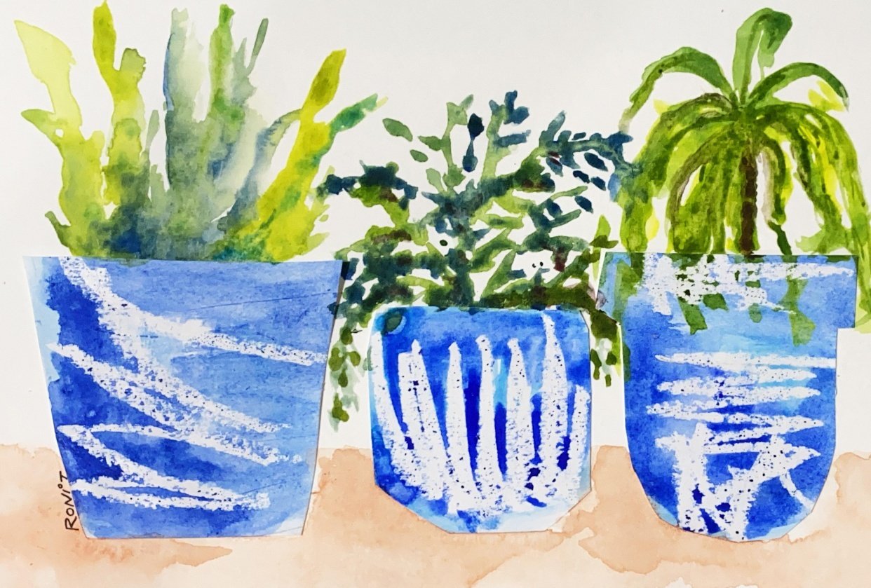 Plants in pots - student project