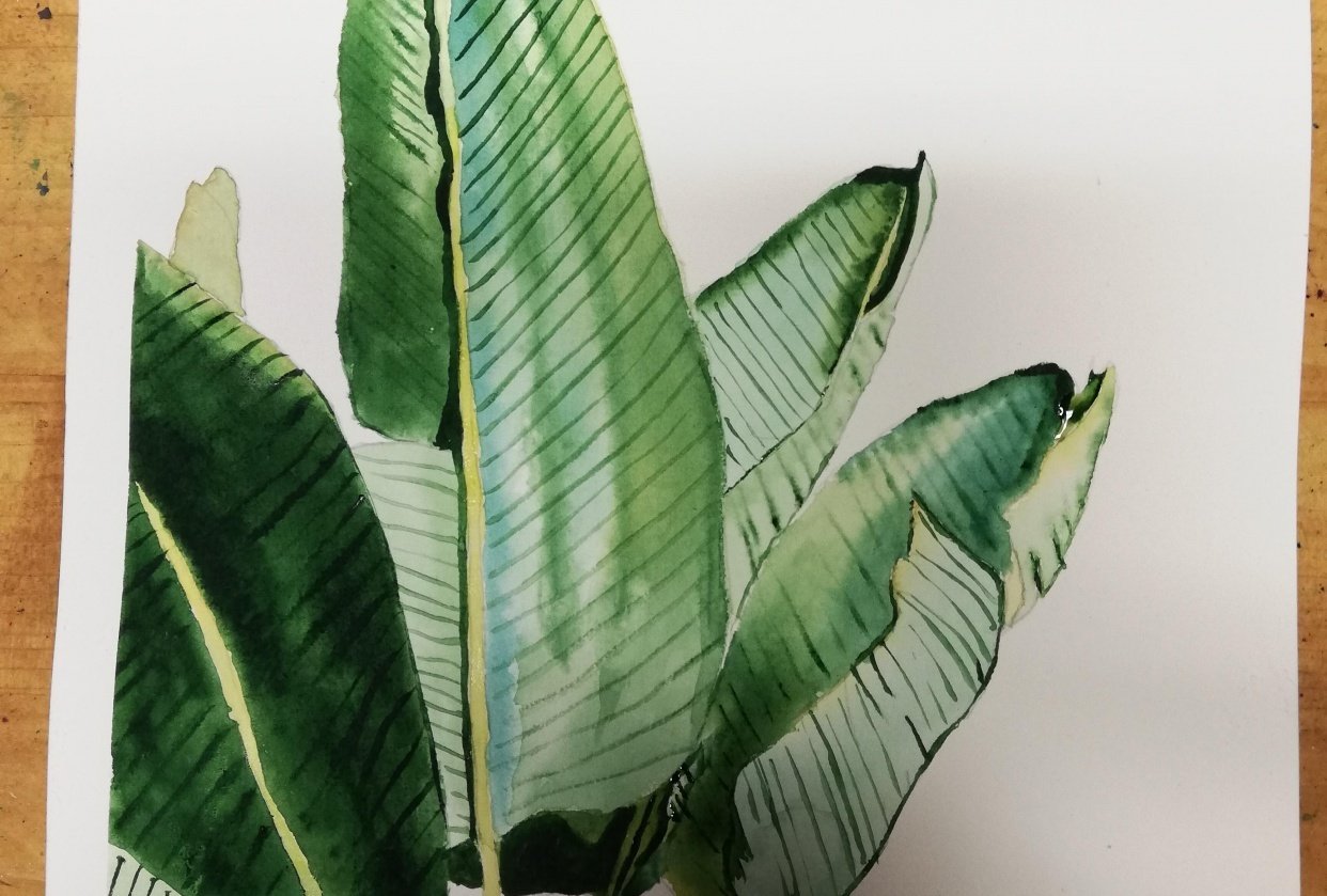 Botanical mmasterclass - student project