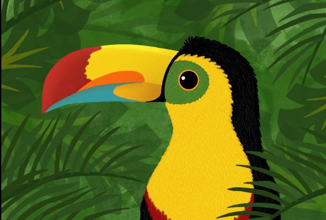 Toucan - student project