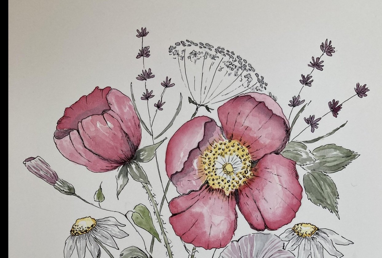 Watercolour & Ink Wildflowers - student project