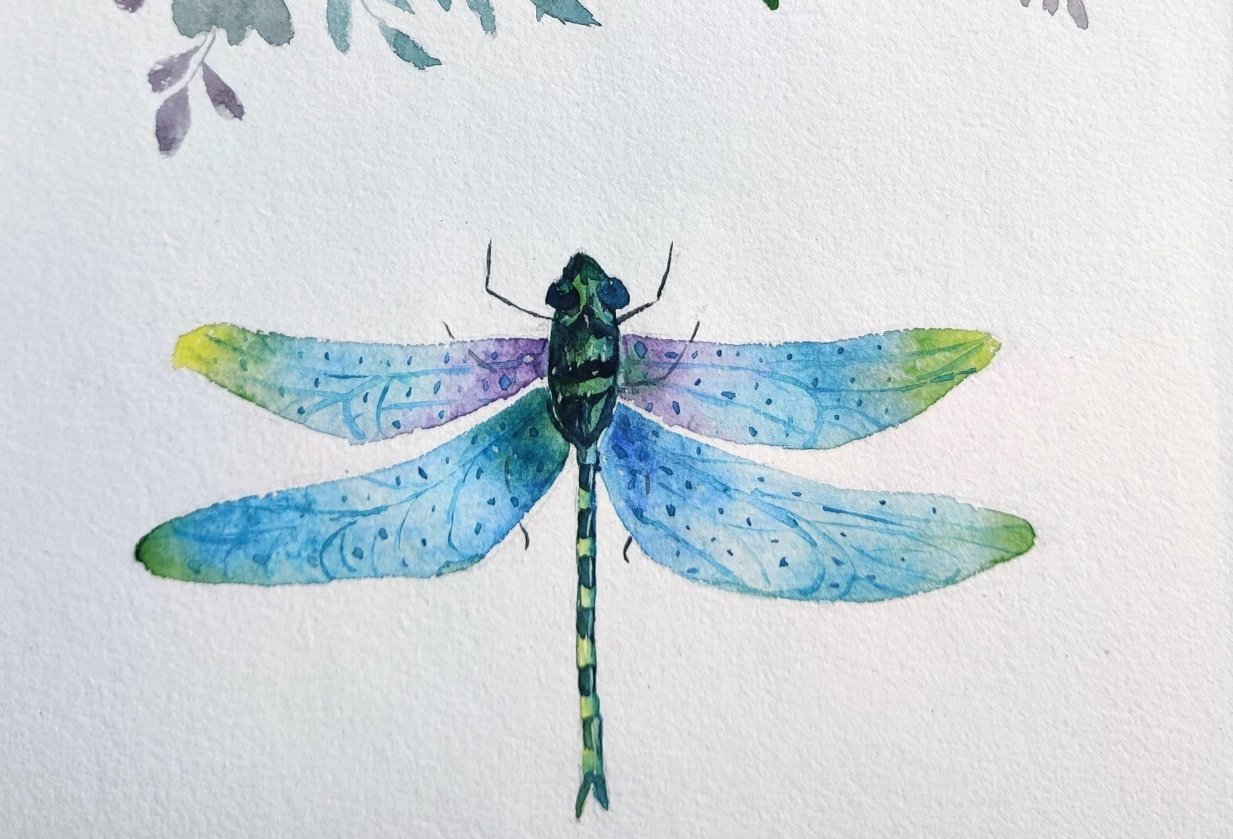Dragonfly - student project